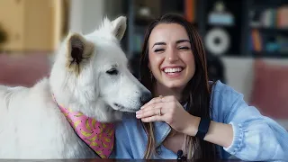 ASMR | Treat Test with Satine | Doggy Mukbang Eating