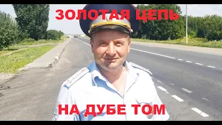 Золотая цепь на дубе том