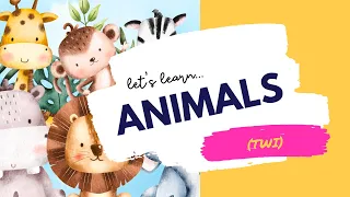 Animal Adventure for Kids: Twi Learning with Little Languages!