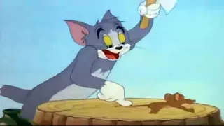 Tom and Jerry #cartoonkid #fightingseries #cartoon #tom #jerry