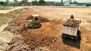 Amazing Dump Truck Landfill and Bulldozer Cleaning Land for building House