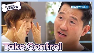 You Are Not Asking 👿😫 [Dogs are incredible : EP.191-2] | KBS WORLD TV 231017
