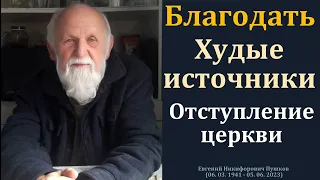 Благодать. Худые источники. Е. Н. Пушков. МСЦ ЕХБ