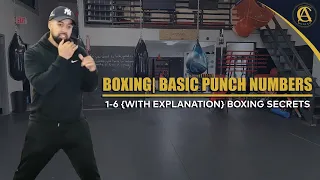 BOXING| BASIC PUNCH NUMBERS 1-6 {WITH EXPLANATION} BOXING SECRETS