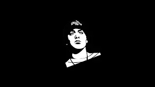 [Vietsub + Lyrics] Eminem - The Real Slim Shady