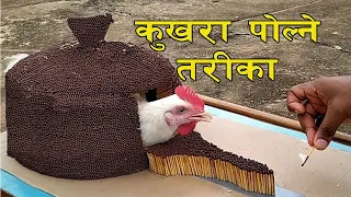 200,000 Match Sticks VS Chicken #Experiment  २ लाख सलाइकाे काँटी vs कुखुरा