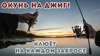 Окунь на Джиг / Клюет на каждом забросе / Daiwa Fuego / Kaida Lamberta