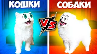 ТРЕЙЛЕР - КОШКИ vs СОБАКИ !!! КТО КРУЧЕ?! Вася и Шанель ПОДРАЛИСЬ !!!