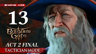 BALDUR'S GATE 3 Act 2 Moonrise Tower Final (Tactician Mode) Part 13 - SOLO [PALADIN]