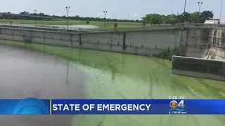 Algae Causes U.S. Army Corps Of Engineers To Suspend Lake Okeechobee Water Discharges