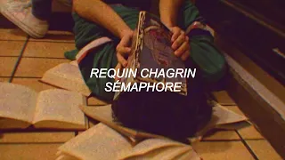 Requin Chagrin - Sémaphore | Lyrics