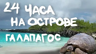24 Часа На ОСТРОВЕ | Галапагосские острова | Путешествие