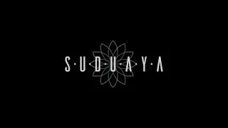 528hz - "SUDUAYA Live @ BOOM Festival 2023"