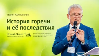 Павел Желноваков: История горечи и её последствия (18 августа 2019)