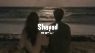 Shayad [ Slowed + Reverb ] | Love Aaj Kal | Arijit Singh | Moody LOFI