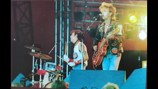 Stray Cats - I Fought The Law (Live At The Stadtpark, Hamburg, 1989)