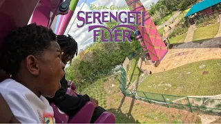 Riding Serengeti Flyer At Busch Gardens Tampa For The Very FIRST Time ➕MORE ROLLER COASTERS 🎢