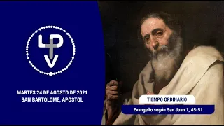 Evangelio del día martes 24 de agosto de 2021, P. José Luis Morillo, sdb