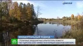 В Петербурге презентовали концепцию сохранения и развития Баболовского парка