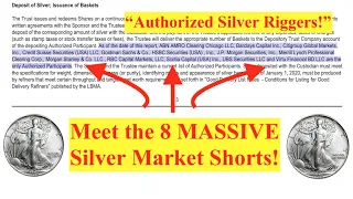 ALERT! Exposing the 8 Silver Market Riggers! (Bix Weir)
