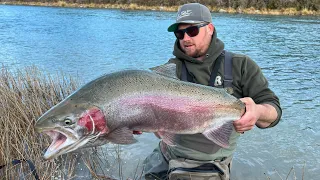 Fly Fishing Giant Trout on One of Kind River!
