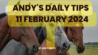 Andy's Daily Free Tips for Horse Racing, 11 February 2024