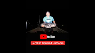 Awesome Lake Tillery Fishing-50 lb. blue catfish (Episode 10 Season 1)