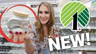 🔥 10 NEW Dollar Tree Organizers + HACKS you need!🔥