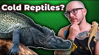 You Can Keep These 5 Reptiles OUTSIDE In ANY Climate! Here's How!