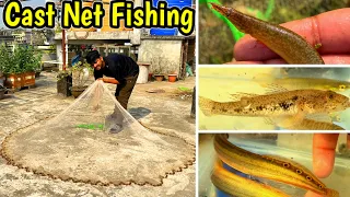 Caught Peacock Eel or Electric Eel?😉👌| Cast Net fishing in Assam River🔥| Fishing in river