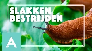 Slakken in de moestuin bestrijden! - Grow, Cook, Eat #24