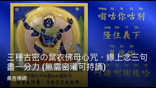 三種古密の葉衣佛母心咒・憶念祈福盡一分力 (無需密灌可持誦)