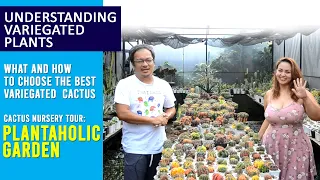 UNDERSTANDING VARIEGATED  CACTUS: HOW and WHAT to choose [PART1] II PLUS: tour in Plantaholic Garden
