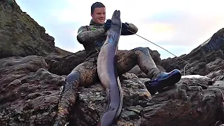 GIANT EEL Clean and Cook (Part 2)