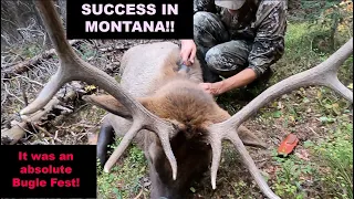 PHENOMENAL!! DIY Montana Archery. FIRST ELK. Father/Son Bowhunting Trip. Public Land