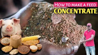 How to make a good CONCENTRATED ANIMAL FEED at your farm at a cheaper price