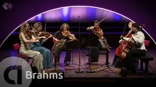 Brahms: String Sextet No. 2, Op. 36 - Harriet Krijgh & Friends - Live HD