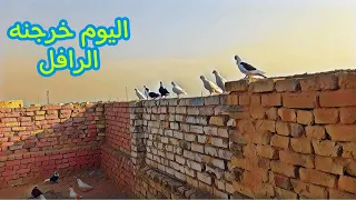 تخريج الرافل وشلون نخرج الرفلي الجديد