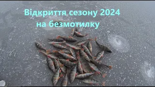 Окунь на безмотилку - попав на гарний кльов! Відкриття сезону 2024!