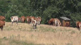 Egy kis Cserehát IV. rész