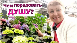 Поехала на шопинг в МЕГУ Дыбенко СПб. Отдохнула от грядок.