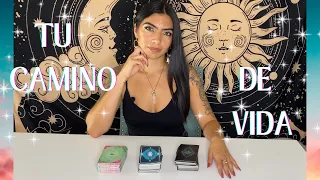 ESTAS EN EL CAMINO CORRECTO?💫TAROT INTERACTIVO