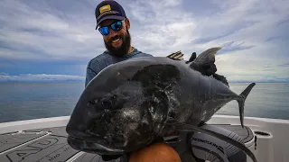 GT Popping Airlie Beach and the Great Barrier Reef