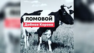 ЛОМОВОЙ - Дойная корова