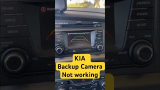 Kia Optima backup camera not working fix. #shorts #kia #reversecamera #fix #mechanic #viral
