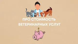 Про стоимость ветеринарных услуг