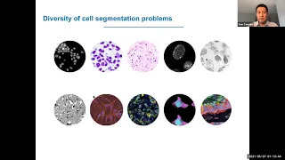 Deep Learning for Cell Imaging Segmentation - Lecture 20 - MIT ML in Life Sciences (Spring 2021)