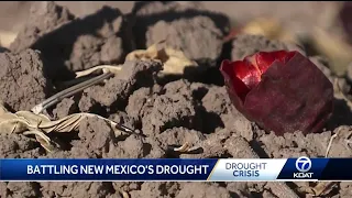 Most severe drought on record in New Mexico