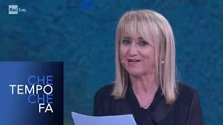 Luciana Littizzetto e le nuove dichiarazioni di Toninelli - Che tempo che fa 24/03/2019