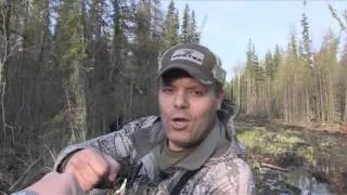 The Hunting Chronicles - Spot and Stalk Archery Black Bears